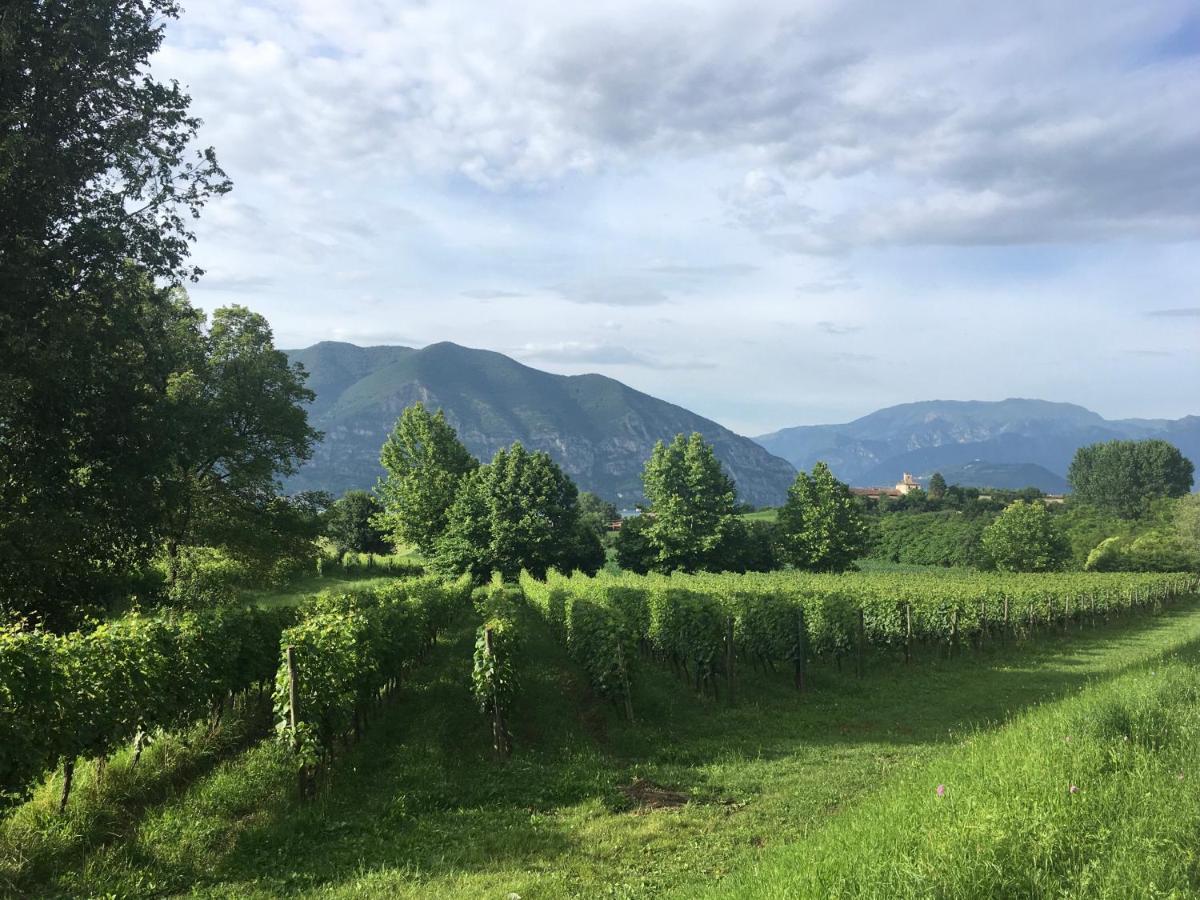 Holiday Home Punta D'Oro With Garden, Parking Place And Lake Access At 300 M อีเซโอ ภายนอก รูปภาพ